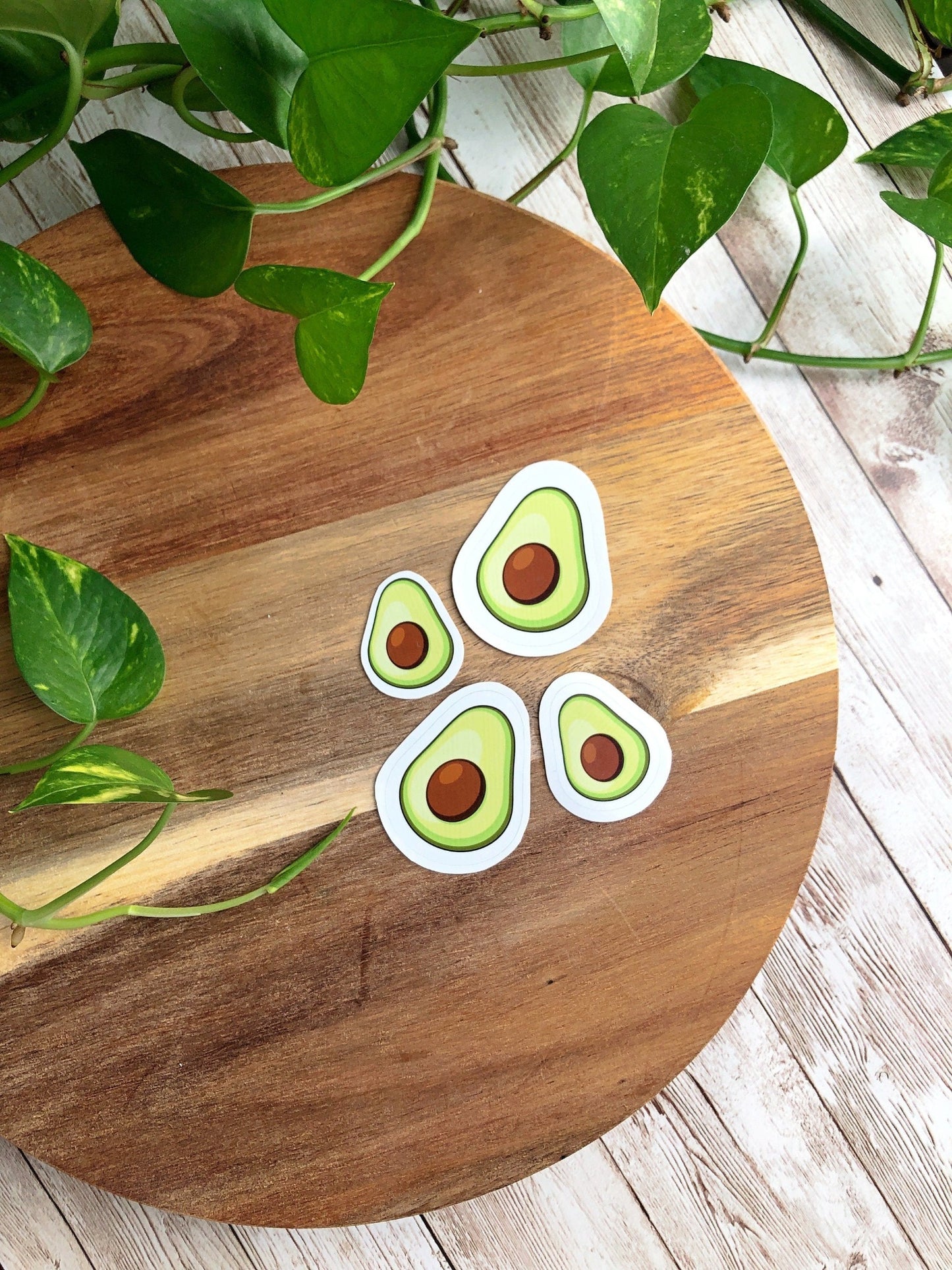 Avocado